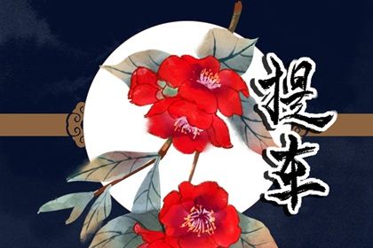 2025年农历二月初六是提车好日子吗 今日提新车好不好
