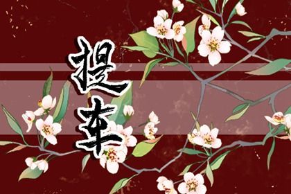 2025年农历正月二十是不是提车吉日 提车买车吉利吗