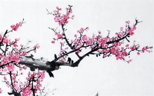 2025年03月08日是领证好日子吗 是登记领证好日子吗