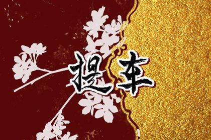 2025年农历三月廿五是不是提车吉日 今日买新车好吗