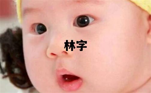 林字取名的寓意 林字取名的寓意男孩