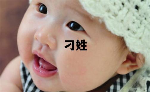 刁姓有灵气的男孩名字,取什么名字好