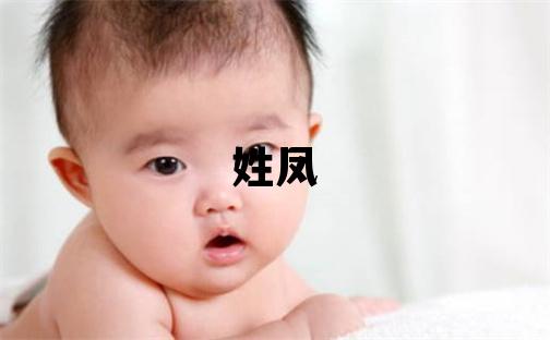 姓凤叫什么名字好 姓凤的男孩有诗意的名字