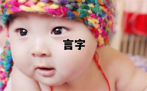 言字五行属什么 言字男孩最佳组合名字