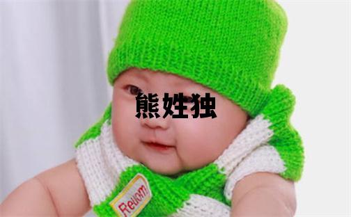 熊姓独特优美的男宝宝名字
