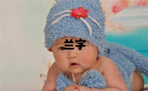 兰字取名的寓意和含义 女孩用兰字取名