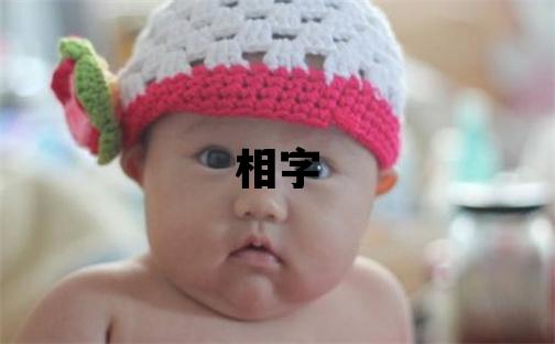 相字取名的寓意和含义 男孩用相字取名