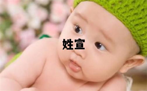 姓宣叫什么名字好 姓宣的男孩优美大方的名字