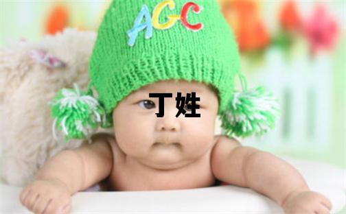 丁姓有诗意的女孩名字