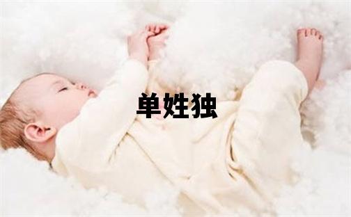 单姓独特优美的男孩名字