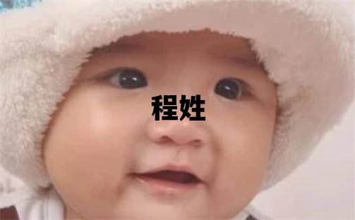 程姓有智慧才气的男宝宝名字