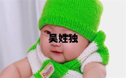 吴姓独特优美的男孩名字,取什么名字好