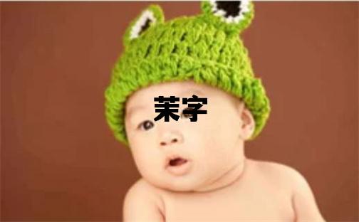 茉字取名的寓意 茉字取名的寓意女孩