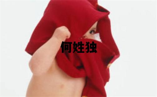 何姓独特优美的男孩名字,取什么名字好
