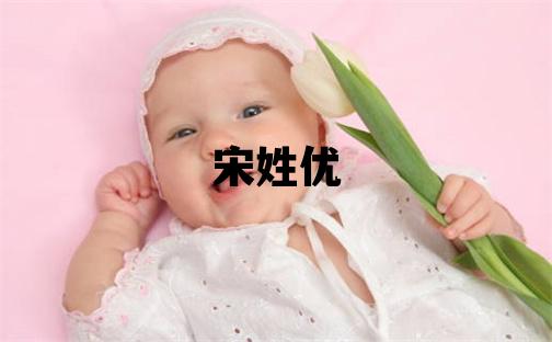宋姓优美的男宝宝名字