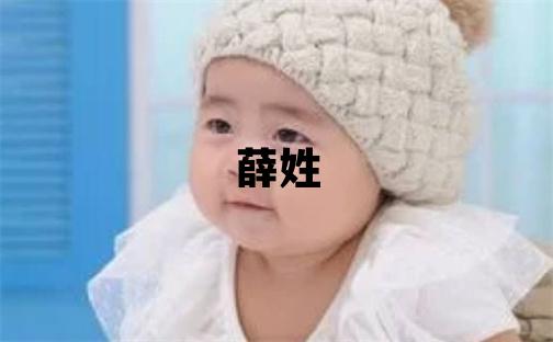 薛姓洋气的男孩名字