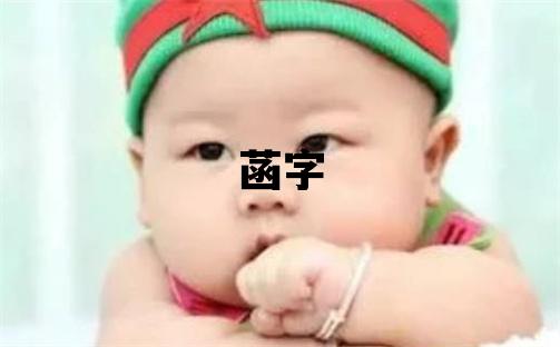 菡字五行属什么 菡字取名寓意女孩