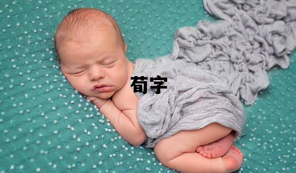 荀字取名的寓意 荀字取名的寓意男孩