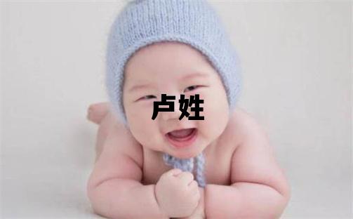 卢姓朗朗上口的男孩名字