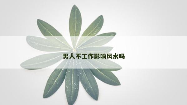 男人不工作影响风水吗