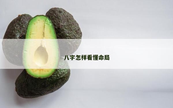 八字怎样看懂命局