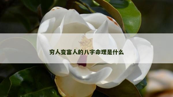穷人变富人的八字命理是什么