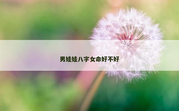 男娃娃八字女命好不好