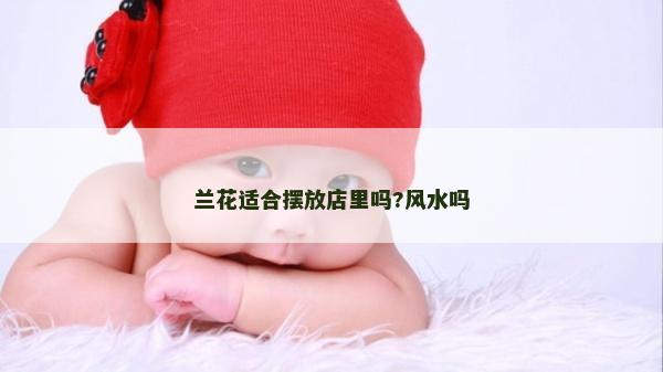 兰花适合摆放店里吗?风水吗