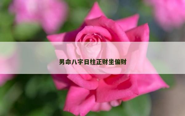 男命八字日柱正财坐偏财