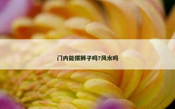 门内能摆狮子吗?风水吗
