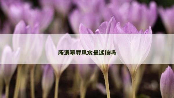 所谓墓葬风水是迷信吗