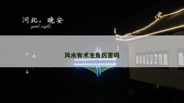 风水有术主角厉害吗