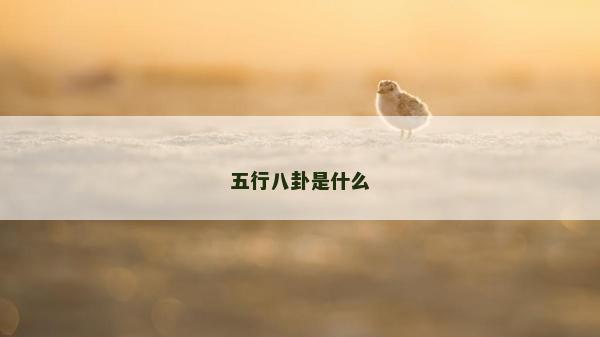 五行八卦是什么