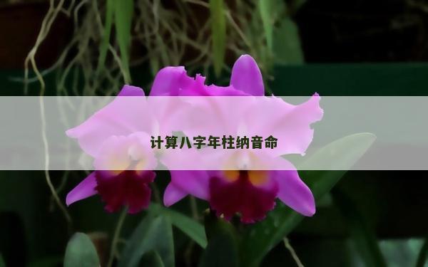 计算八字年柱纳音命