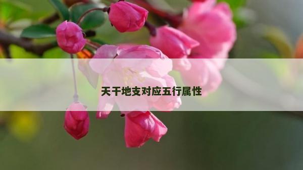 天干地支对应五行属性