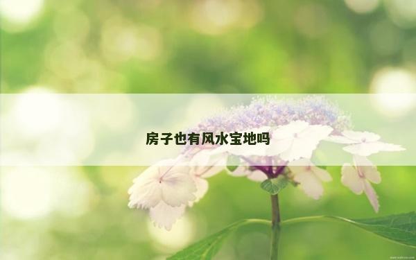 房子也有风水宝地吗