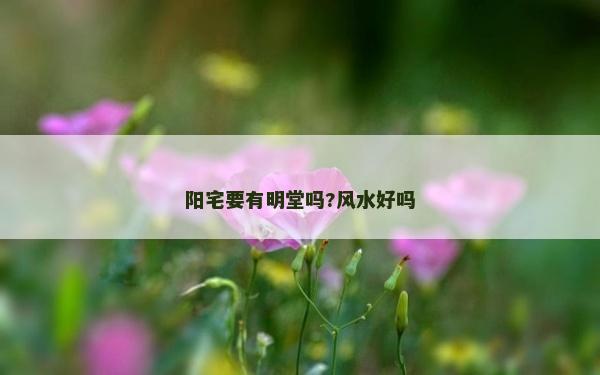 阳宅要有明堂吗?风水好吗