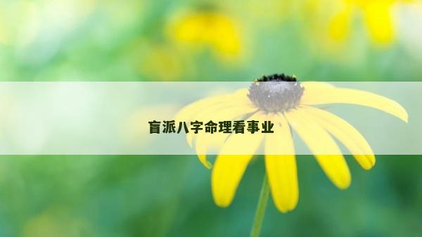 盲派八字命理看事业