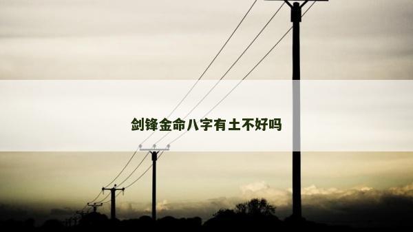 剑锋金命八字有土不好吗