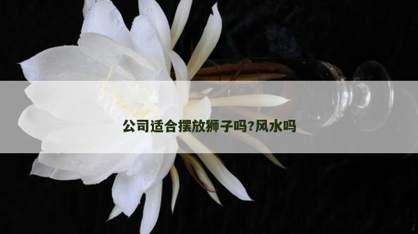 公司适合摆放狮子吗?风水吗