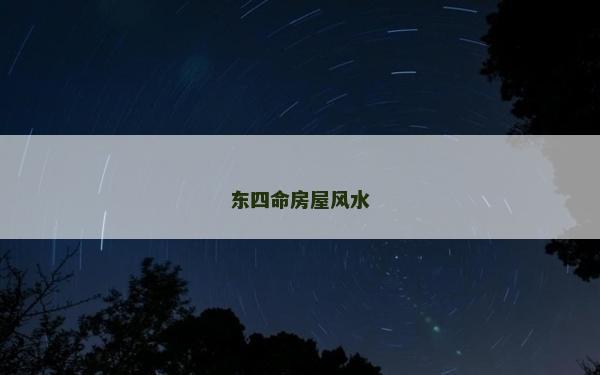 东四命房屋风水