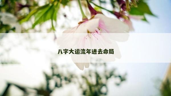 八字大运流年进去命局