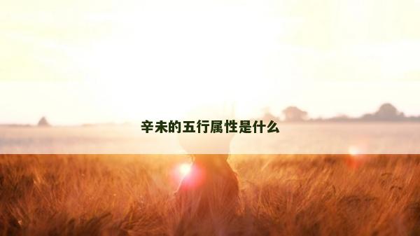 辛未的五行属性是什么