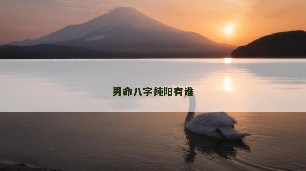 男命八字纯阳有谁
