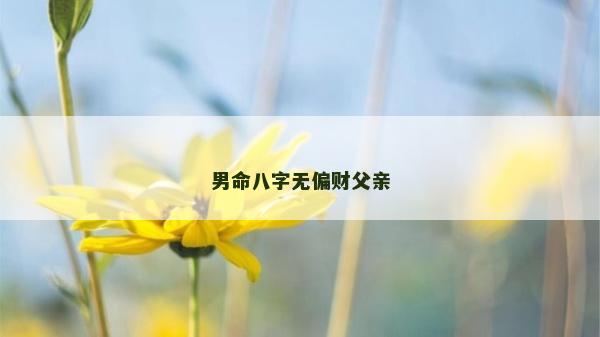 男命八字无偏财父亲
