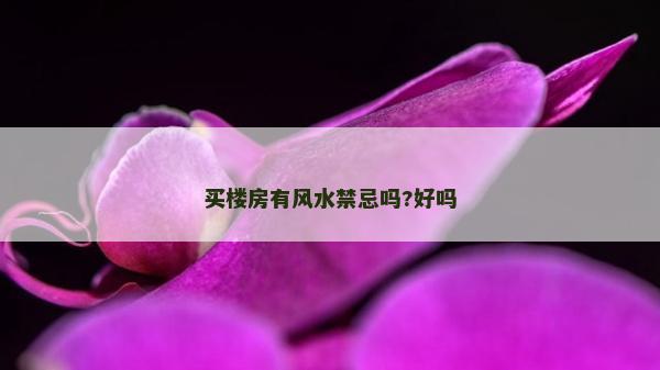 买楼房有风水禁忌吗?好吗