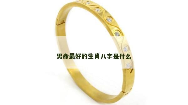男命最好的生肖八字是什么