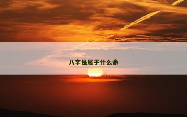 八字是属于什么命