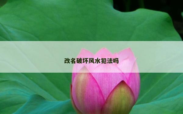 改名破坏风水犯法吗