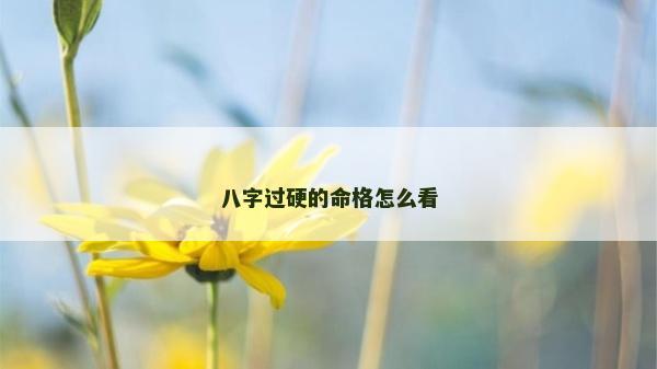 八字过硬的命格怎么看